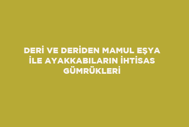 Deri ve Deriden Mamul Eşya İle Ayakkabıların İhtisas Gümrükleri