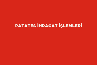 Patates İhracat İşlemleri