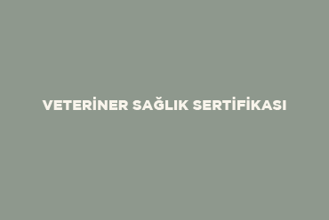 Veteriner Sağlık Sertifikası | Mart - 2022